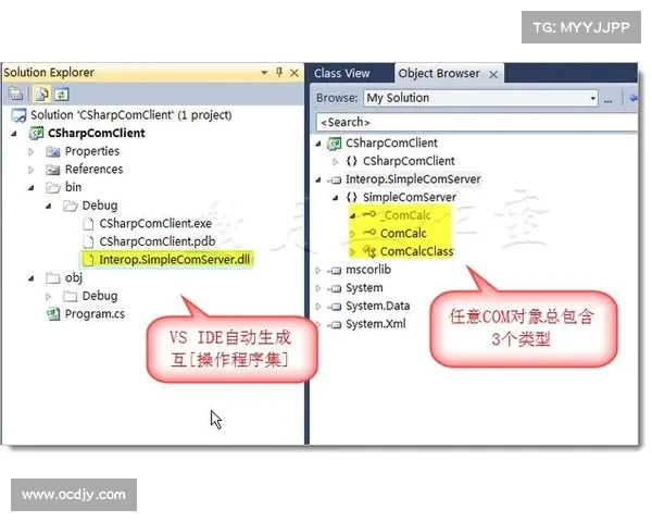 编写任意 VB6 应用程式 编写任意 VB6 应用程式
